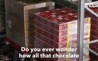 Питали ли сте се някога как всичкият този шоколад стига