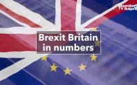 Брекзит се завърна в заглавията Анкета на правителствения сайт показа