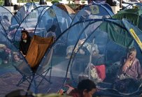 Над 500 000 бягат от сблъсъка Тайланд-Камбоджа, Тръмп призовава за мир