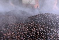 Цената на кафето Робуста рекордно ниска за последните два месеца