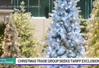 Изкуствените елхи срещат истински проблеми 