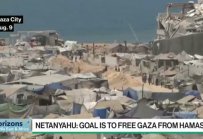 Ниам Макбърни: Израел не може да разгроми Хамас в момента