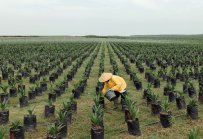 Пета Ла Ниня за шест години ще наруши реколтите и веригите за доставки