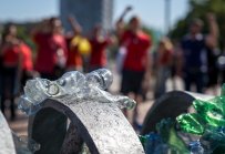 Морските костенурки не са единствените жертви на пластмасата