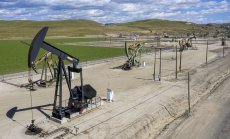 Шуманов: Търканията в ОПЕК+ ще движат петрола между $70-$80 до края на годината