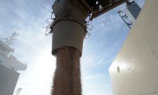 Богата реколта от пшеница в Австралия повишава двойно приходите от износ