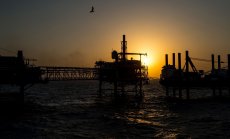 Петролът надмина $80 и няма признаци за намаляване на търсенето