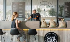 Бариста не е временна работа, а професия с бъдеще и смисъл