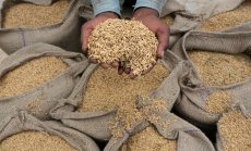 Индия налага още ограничения върху износа на ориз