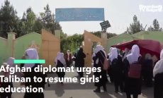 Афганистански дипломат призова талибаните да подновят образованието за момичета