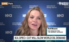 IEA се опасява от рецесия заради съкращенията на ОПЕК+