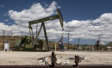 Петролът се стабилизира след двудневен ръст 