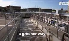 Супербактерията, която пречиства водите