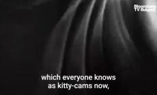 Тайната плячка на котките, част 1