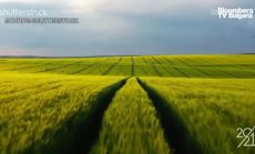 Основателят на Sutterstock за криптовалутите, дистанционната работа и Маями, част 3