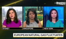 Амрита Сен за петрола, част 1