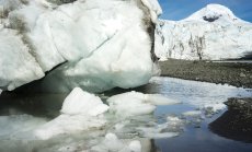 Това, което се случва в Антарктида, не остава в Антарктида, а има глобални последици