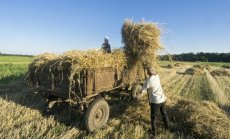 "Небето е границата": хранителната инфлация се влошава заради войната в Украйна