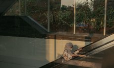 Изненадващ победител се появи сред руините на развиващите се пазари 