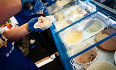 Производителите на сладолед обещаха голяма промяна