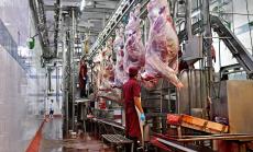 Германският министър на труда иска да наложи засилен контрол и защита за месната индустрия