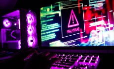 Хакери удариха голяма португалска медийна група и сринаха сайтовете ѝ