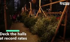 Пик на търсенето на коледна украса в САЩ