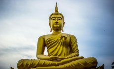 Какво стои зад смъртоносните сблъсъци на границата между Тайланд и Камбоджа?