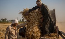 Остър недостиг на хляб в Египет отваря старата рана на страха от политически вълнения