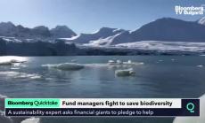 Биоразнообразието във фокуса на мениджърите на фондове, част 2