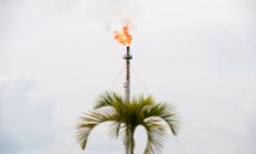 Изненадващ спад в добива на ОПЕК през декември