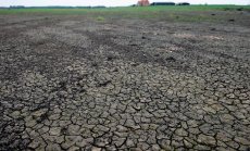 Цените на храните растат заради екстремните метеорологични условия