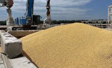 Украйна ще оспори ограниченията на България и други за зърно, ако забраната бъде удължена