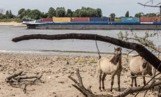 Европа се бори с недостиг на вода, докато силната суша помита континента