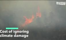 Колко струва да пренебрегваме вредите от климата?