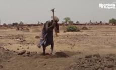  Covid-19 подхранва тревога за глобален глад