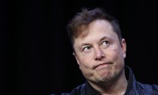 Мъск и Зукърбърг възраждат ритуалите на неандерталското лидерство