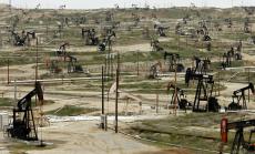 ОПЕК е оптимистично настроена за потреблението на петрол