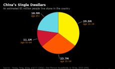 Графика на деня: Все повече китайци живеят сами