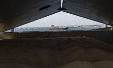 Пране на пшеница: как Русия продава откраднатото зърно от Украйна