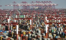 Скъсаната верига за доставки по света през погледа на един контейнер с тор