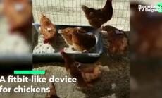 Проследяващо устройство за пилета