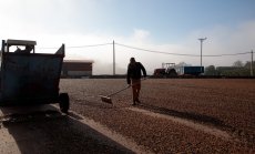 Загубите на кафе в Бразилия са по-лоши от очакваното