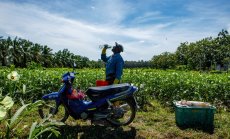 За да победим жегите, ще трябва да превърнем домовете си в батерии