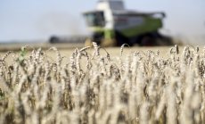 Войната в Украйна носи неудобни печалби на търговците на суровини