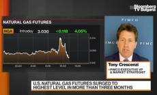 Каква е ролята на облигациите в портфейла