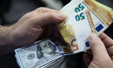 Дори на валутните пазари има известна лудост 