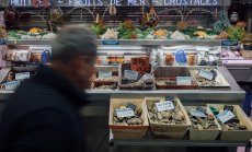 Борис Петров: При пауза ЕЦБ и Фед ще запазят лихвите поне до средата на 2024 г.