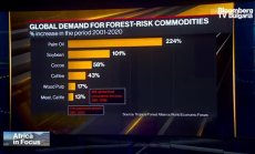 Защо може да се наложи да купувате шоколада си по-скъпо