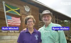 Хората с козето сирене от Ямайка, част 1